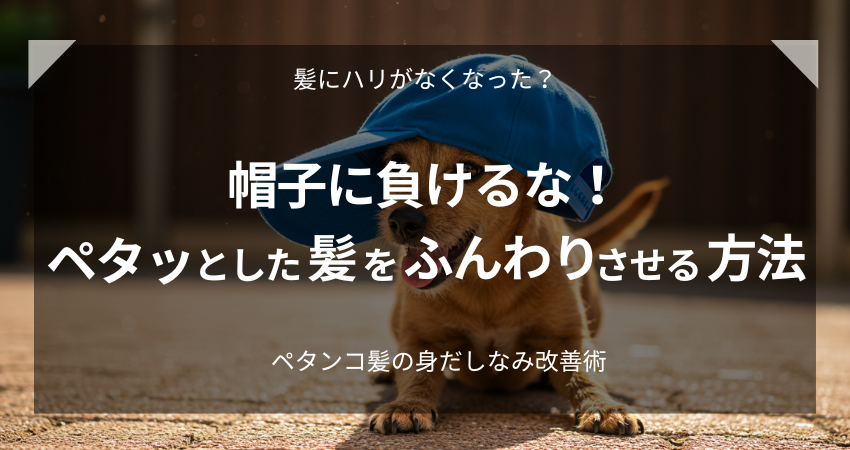 ハットをかぶった毛並みの良い子犬の画像。帽子で髪がぺたんこになる悩みを解決し、ボリュームを保つ方法に関する記事のアイキャッチ。